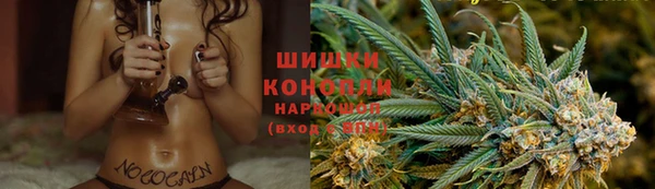 ПСИЛОЦИБИНОВЫЕ ГРИБЫ Аркадак