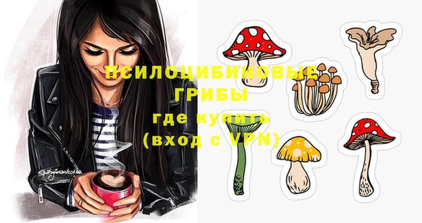 дживик Армянск