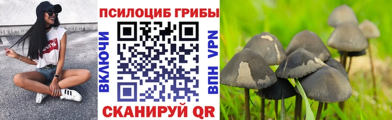 Галлюциногенные грибы Magic Shrooms  Бронницы 